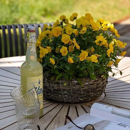 Semesterbostad 0311-romo-strandskaden-10 Molby